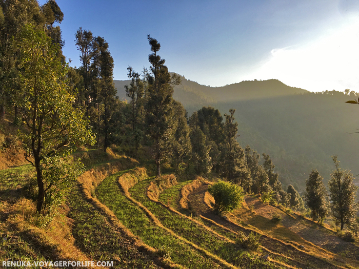 IMG-Rural scenes from Uttarakhand