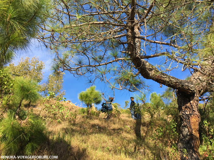 IMG-Village treks in Uttarakhand