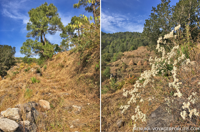 IMG-Village walks in Kumaon