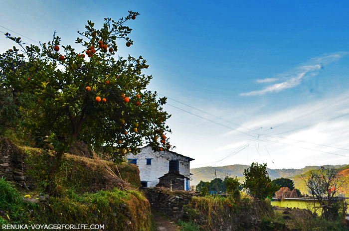 IMG-Villages of Almora Kumaon