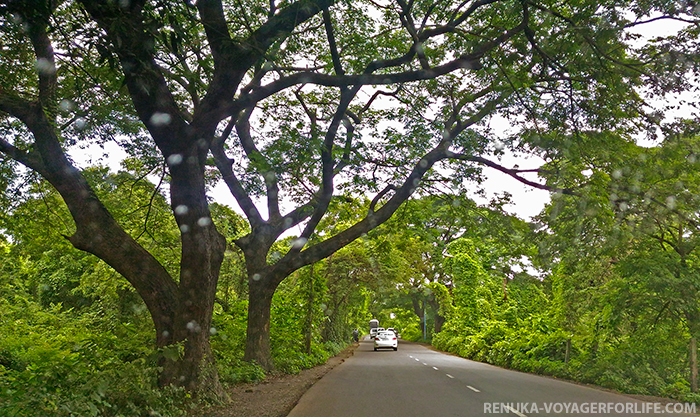 IMG-Scenic lush drives in Mumbai