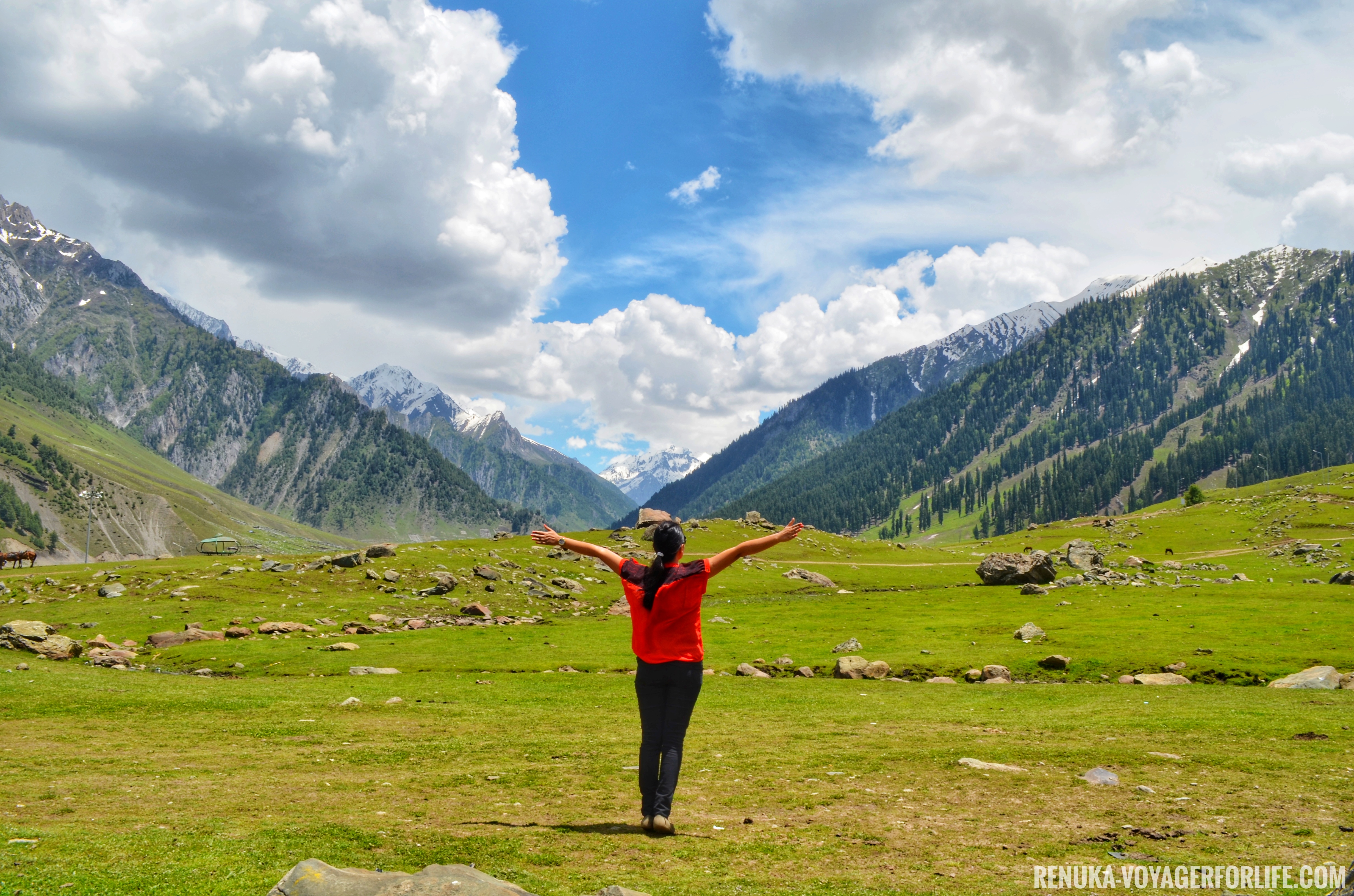 IMG-Traveling alone in Kashmir