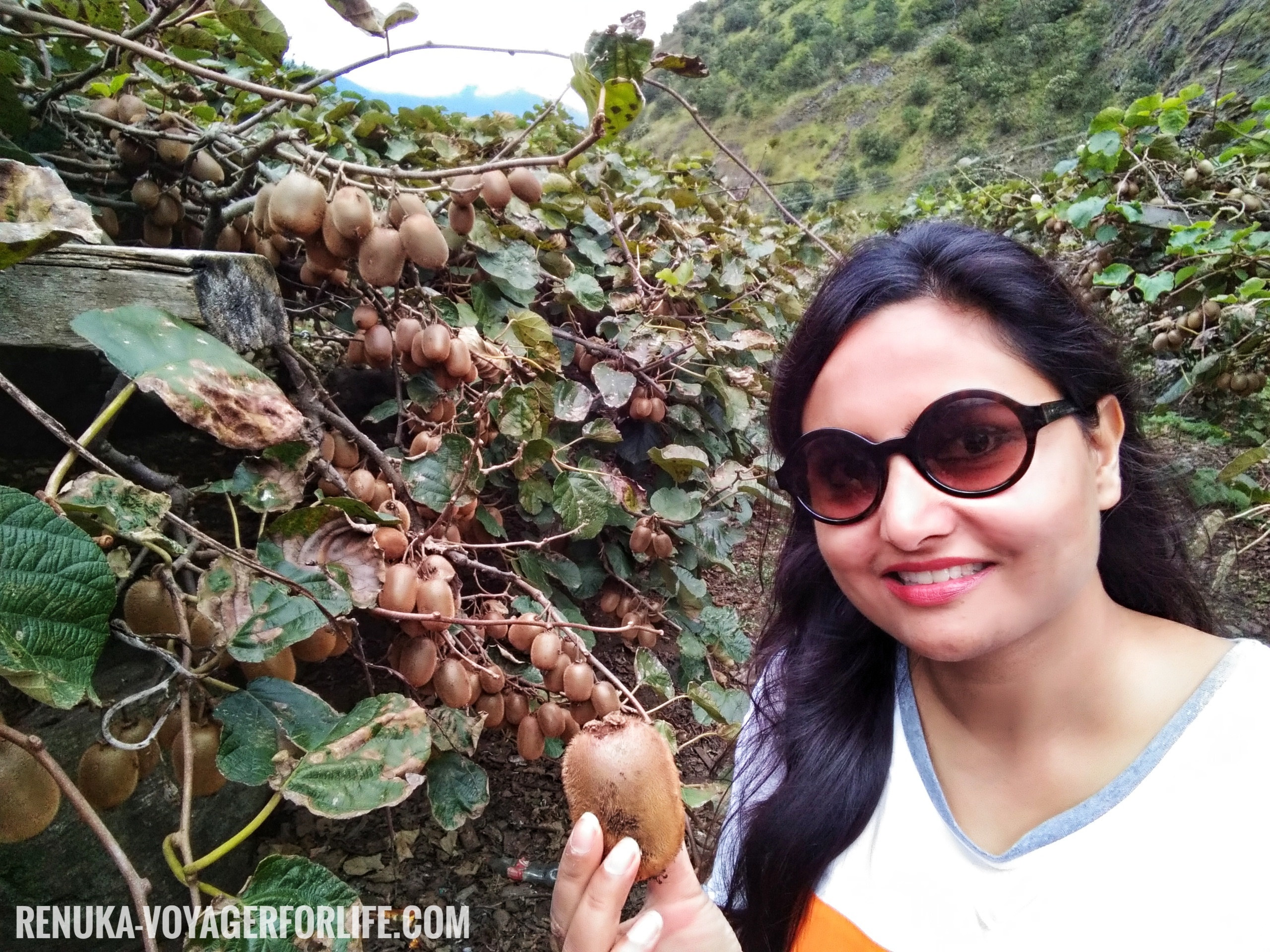 IMG-Traveling alone in Arunachal Pradesh