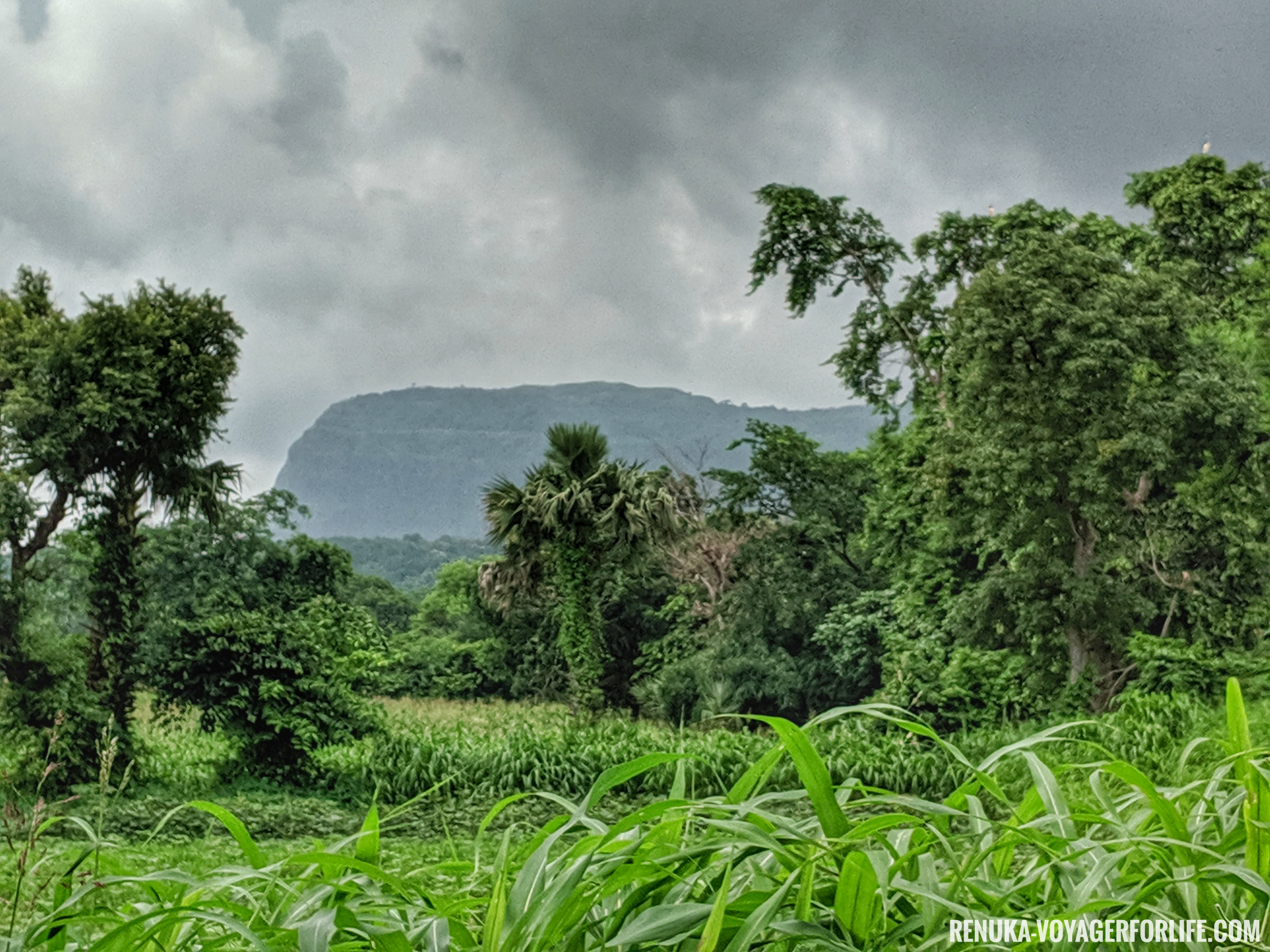 IMG-Pavagadh hill, Champaner