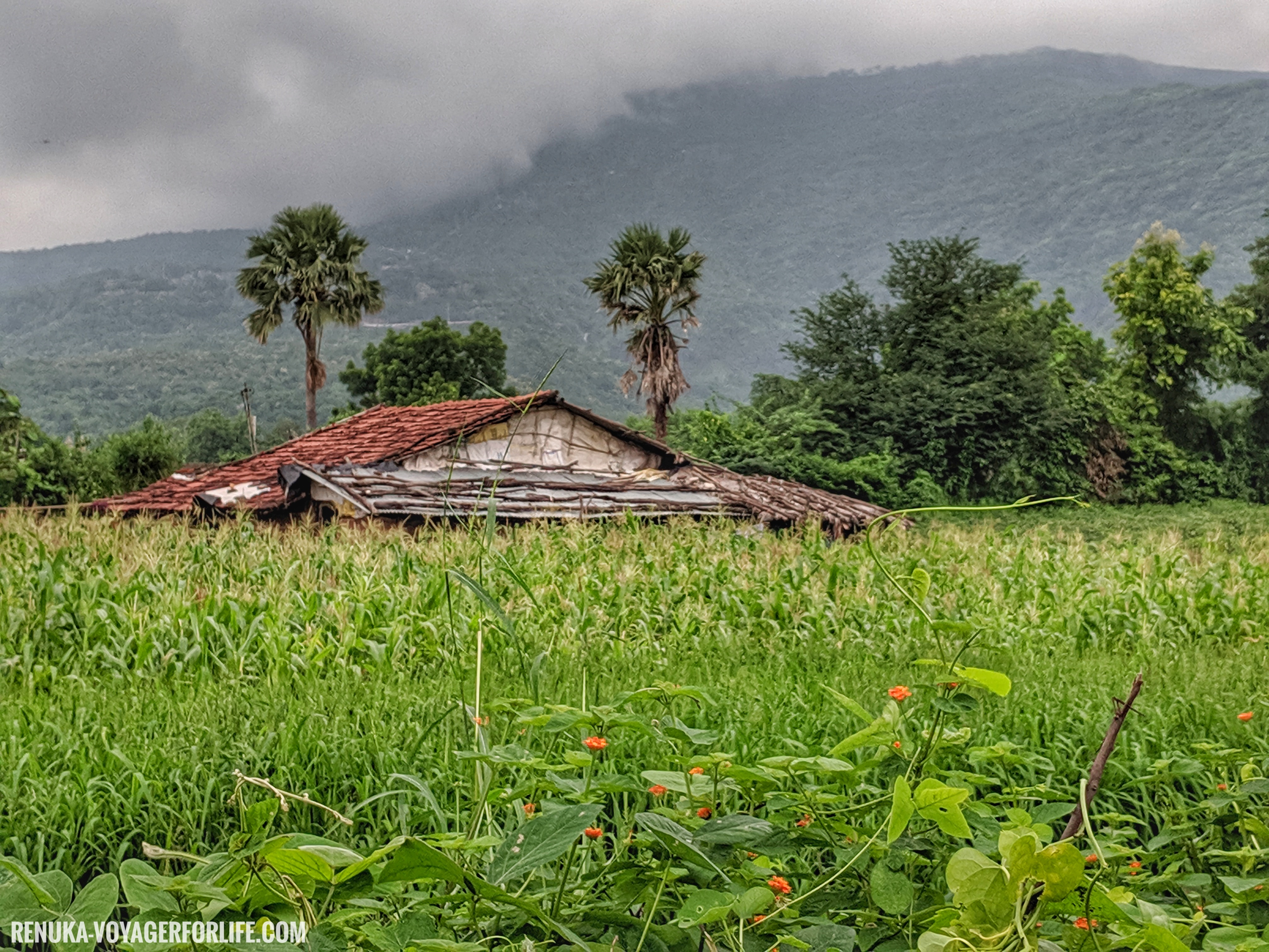 IMG-The villages of Champaner, Gujarat