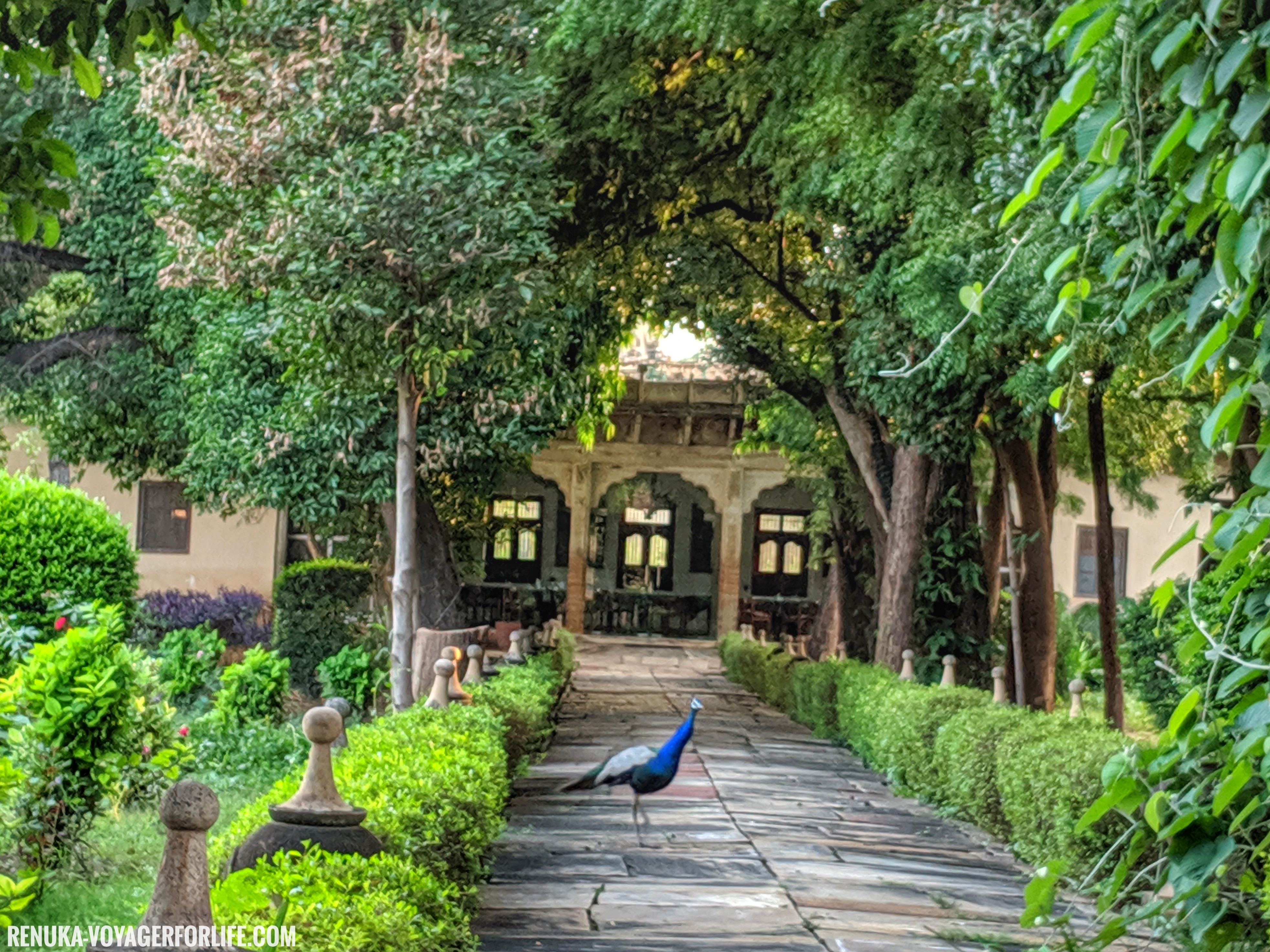 IMG-Best heritage hotels in India