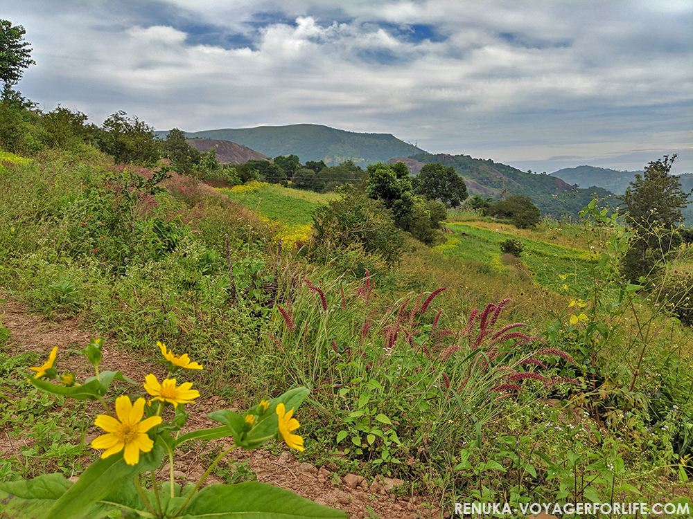 IMG-Farms and fields of Ananthagiri