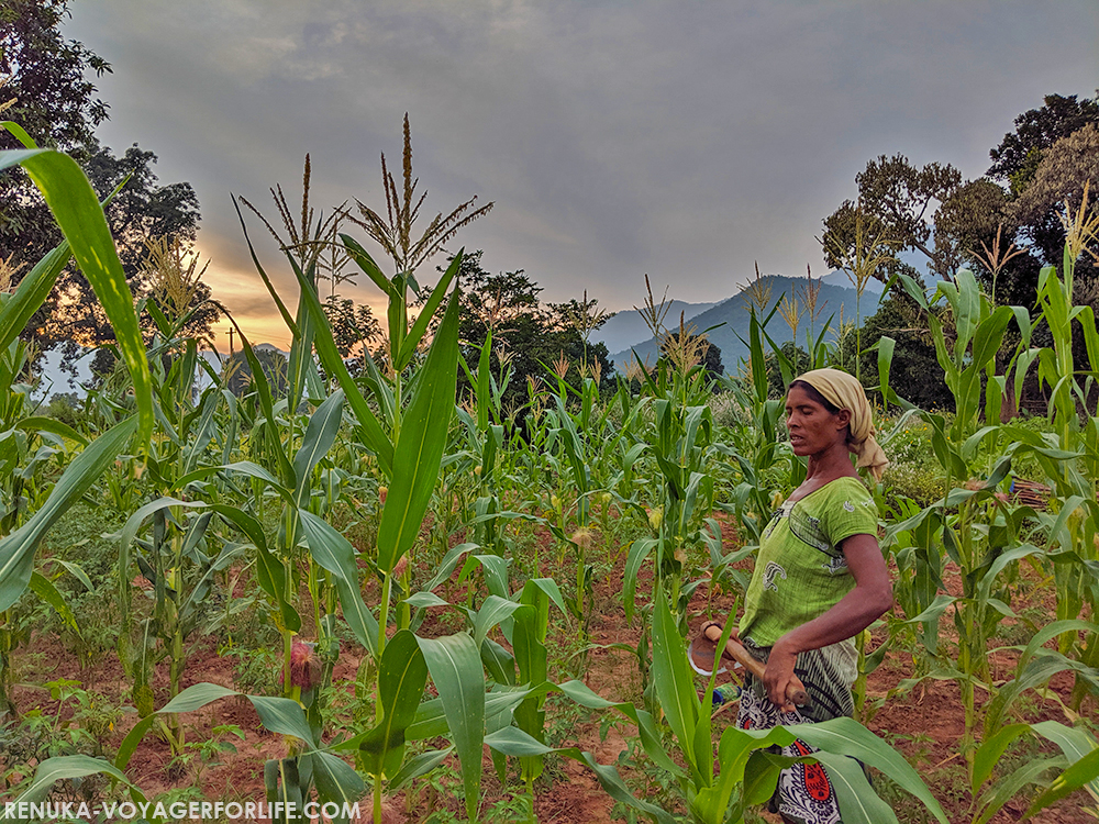 IMG-Farmers of Ananthagiri