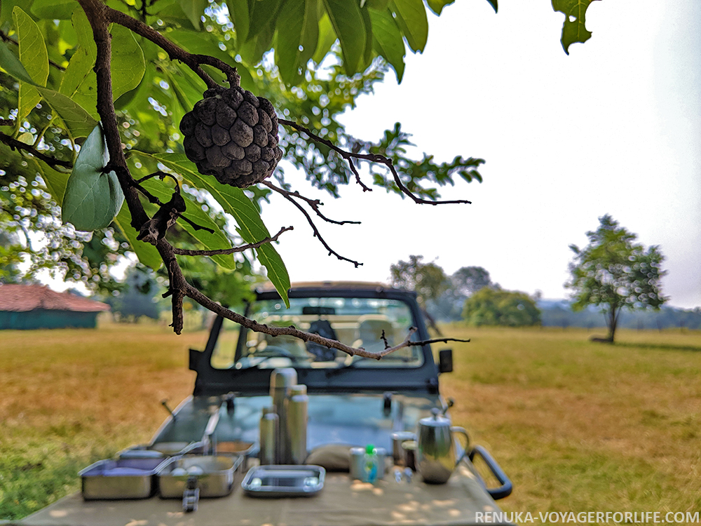 IMG-Jungle Safari Breakfast at Pench National Park Madhya Pradesh