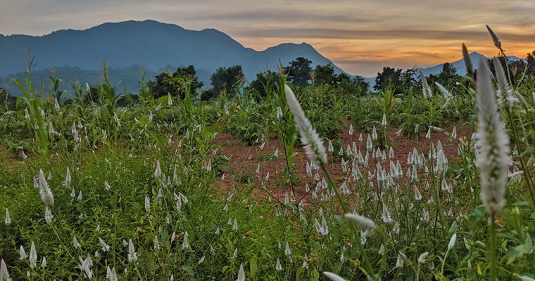 Ananthagiri – A Piece Of Heaven In Andhra Pradesh