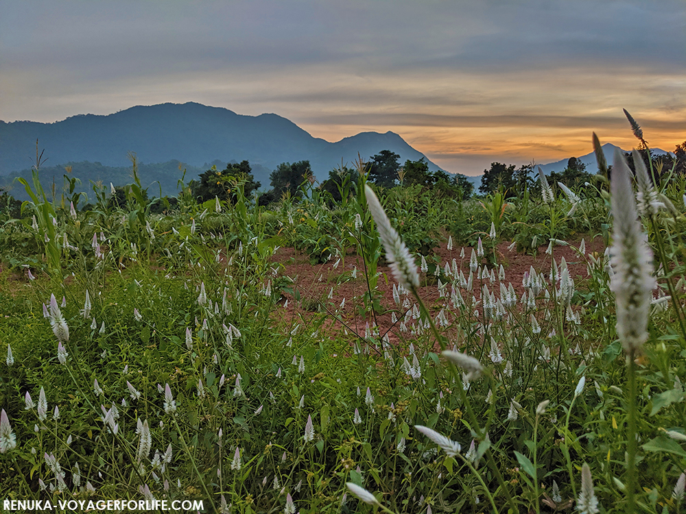 Ananthagiri – A Piece Of Heaven In Andhra Pradesh