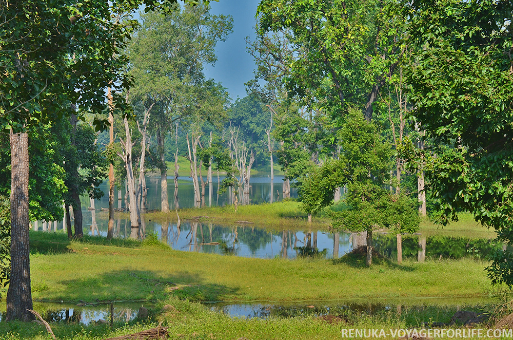 IMG-Landscapes of Pench National Park