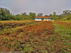 Why Is Pench The Perfect Abode For Nature Enthusiasts - Voyager For Life