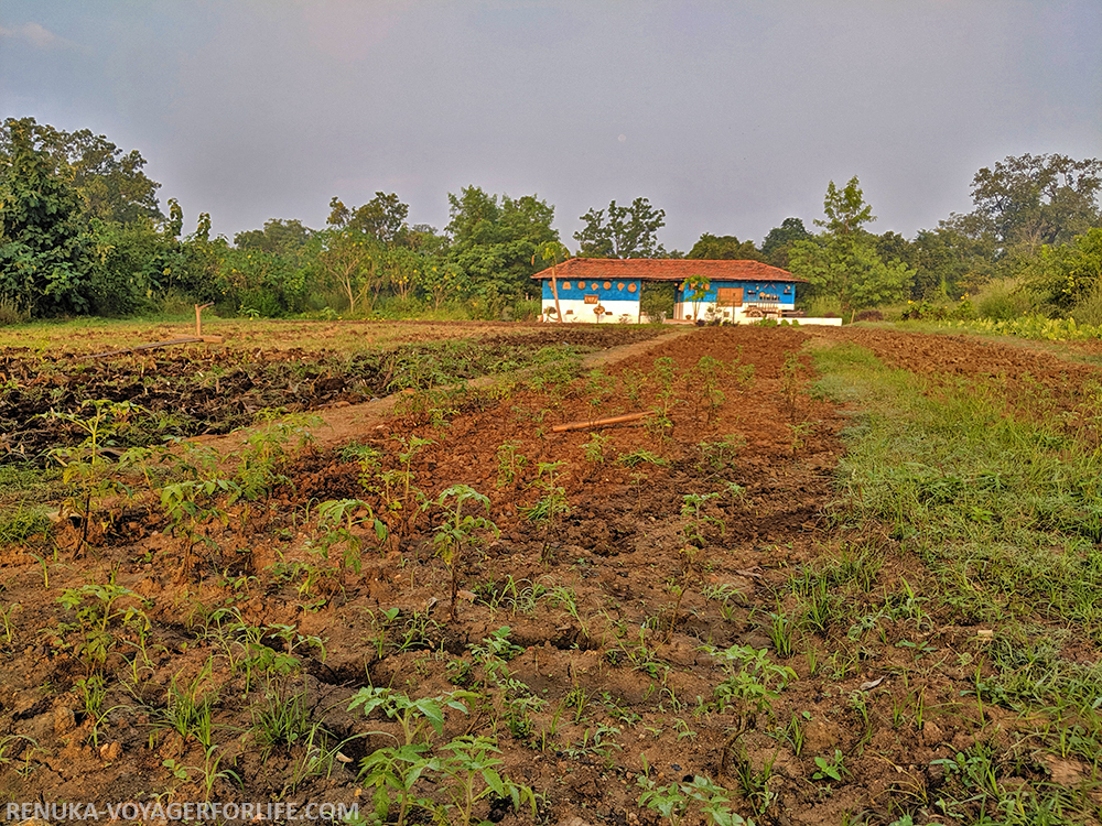 IMG-Organic farm at Pench Tree Lodge