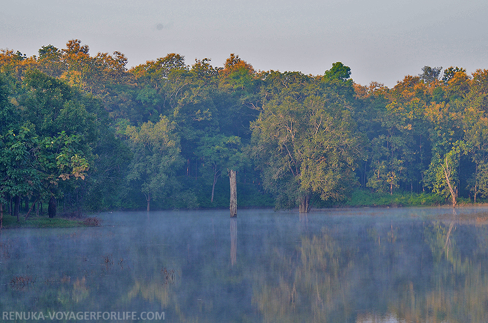 IMG-Water bodies at Pench National Park