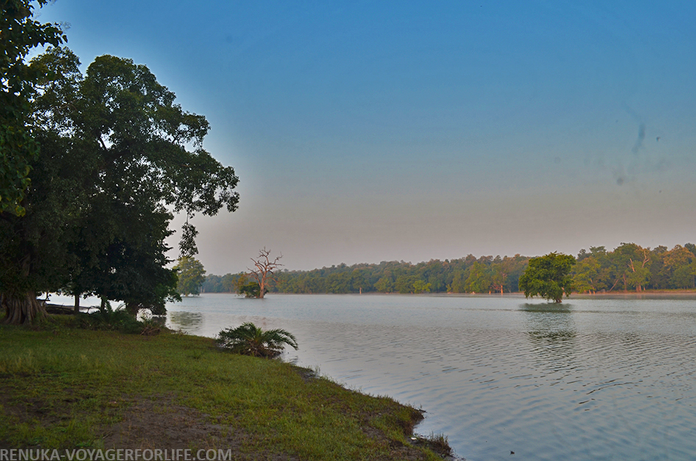 IMG-The Pench River of Madhya Pradesh