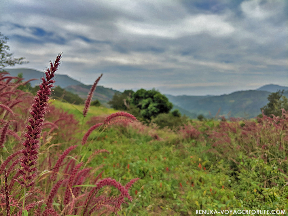 IMG-Jamuguda village in Ananthagiri