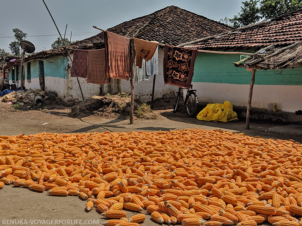 IMG-Sarra Hiri village of Madhya Pradesh