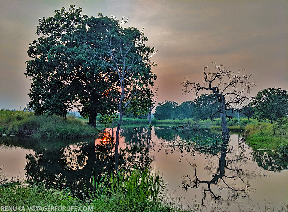 IMG-Sunsets in India