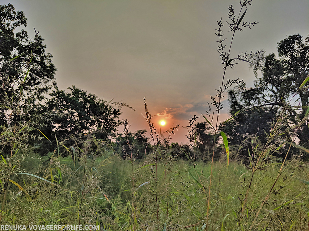IMG-Sunsets in Pench
