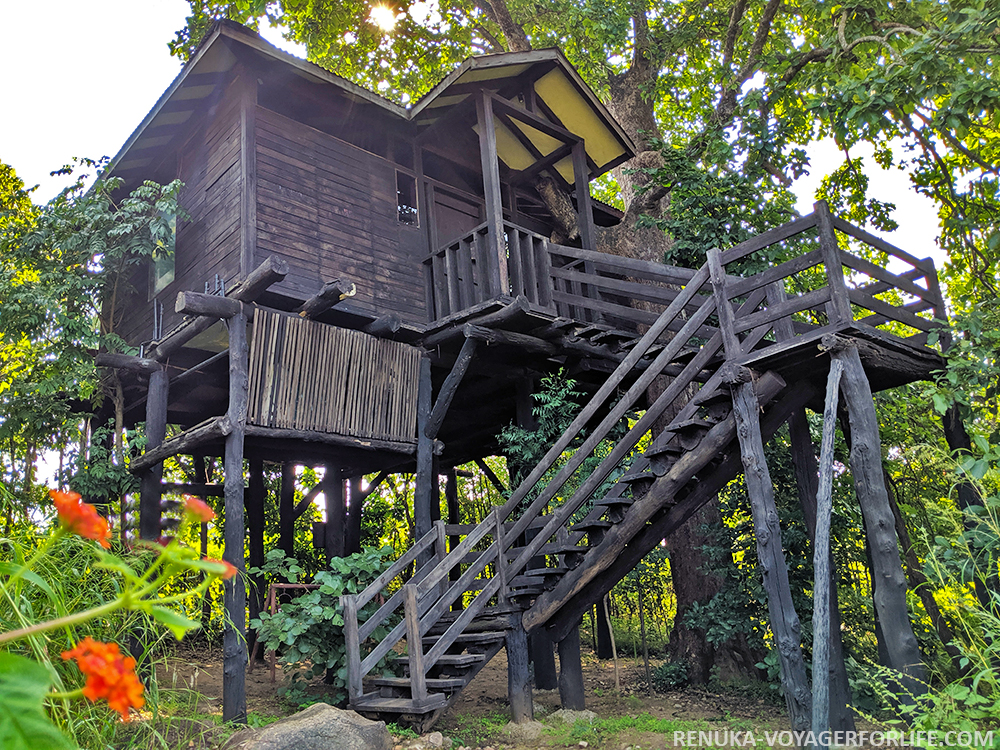 IMG-Tree House at Pench Tree Lodge