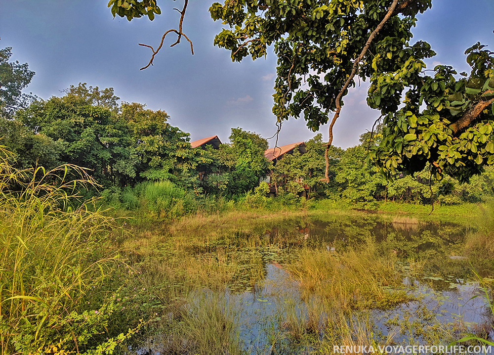 IMG-Water bodies at Pench Tree Lodge