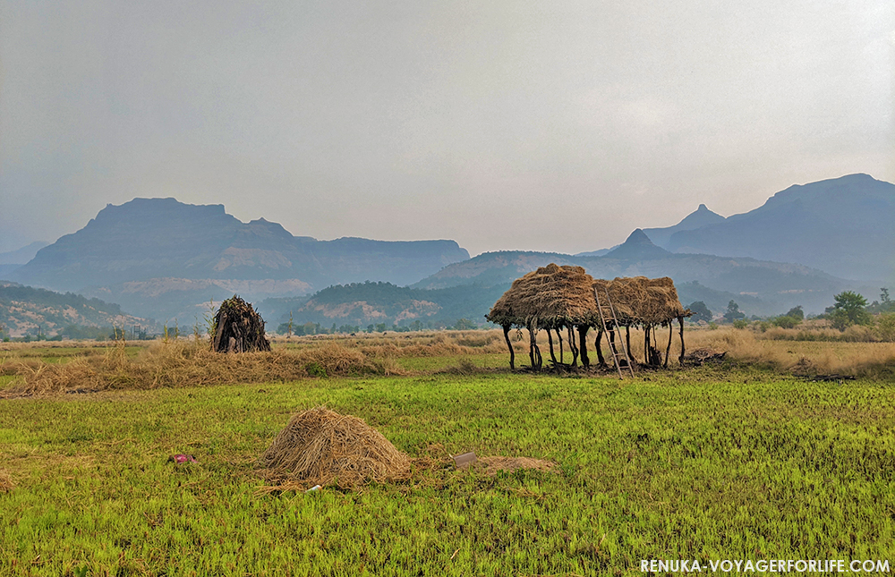 IMG-Mountain Landscapes of Maharashtra