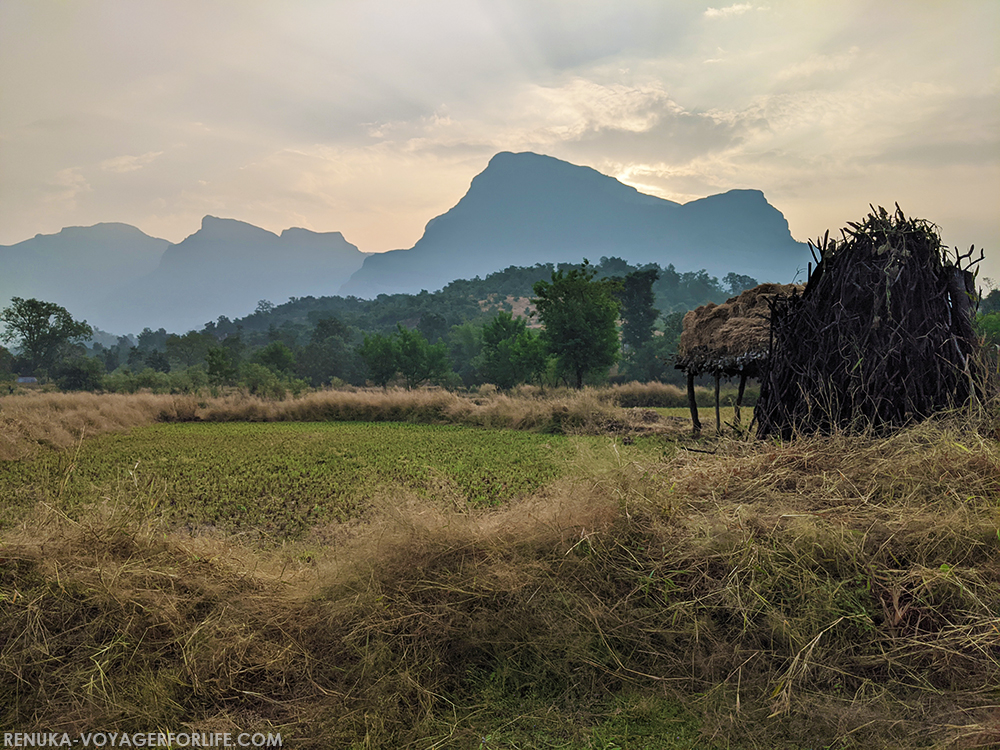 IMG-Rural landscapes of Maharashtra