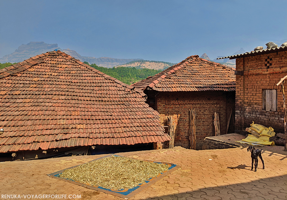 IMG-Tribal villages of India