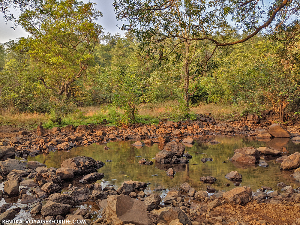 IMG-Water bodies in Dehna