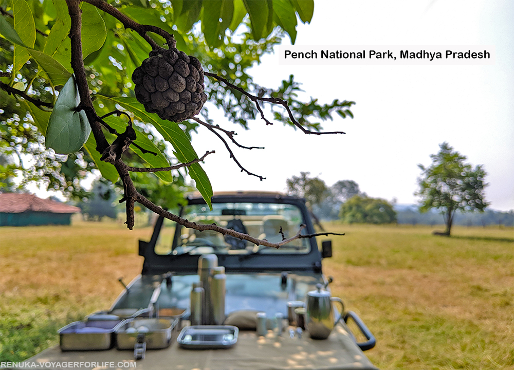 IMG-Safari breakfast in Pench National Park Madhya Pradesh