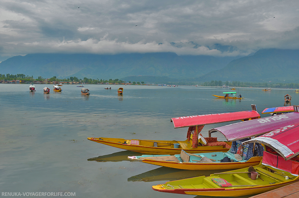 IMG-Shikaras of Kashmir