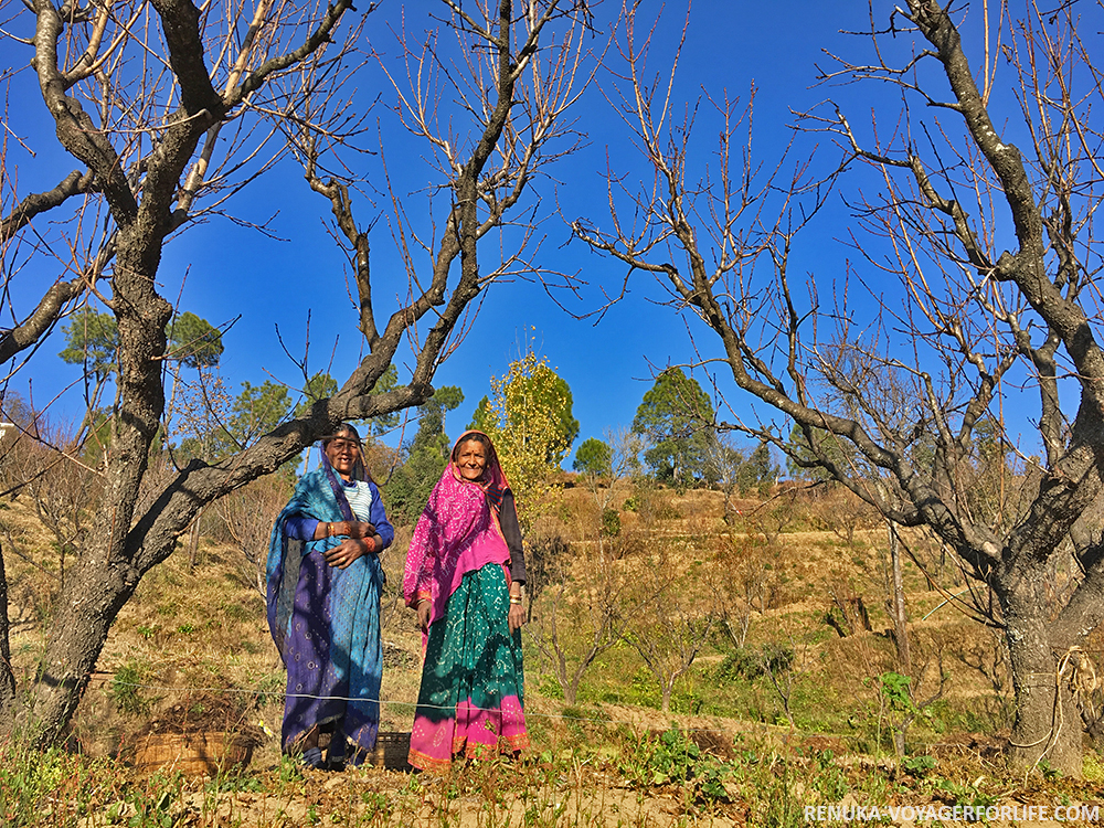 IMG-Village ladies dressed in vivid saris in Kumaon