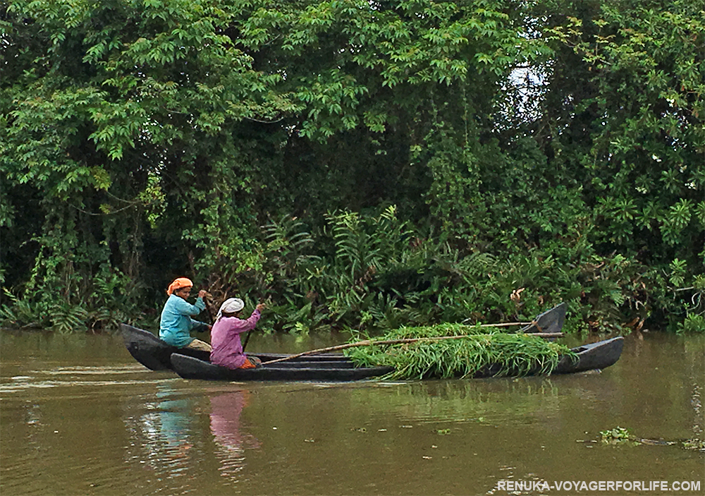 IMG-Human By Nature the people of Kerala