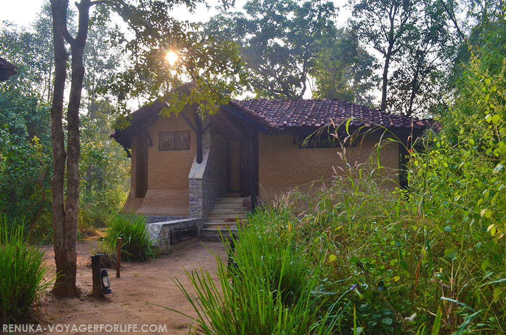 Covid safe jungle lodges in India