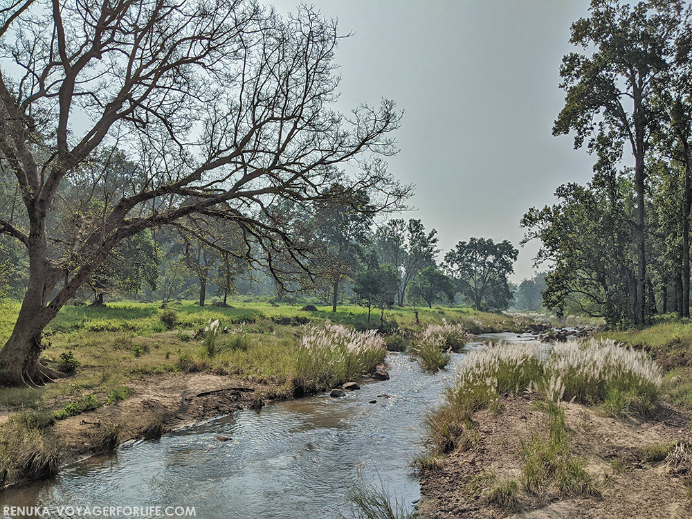 Kanha National Park landscapes