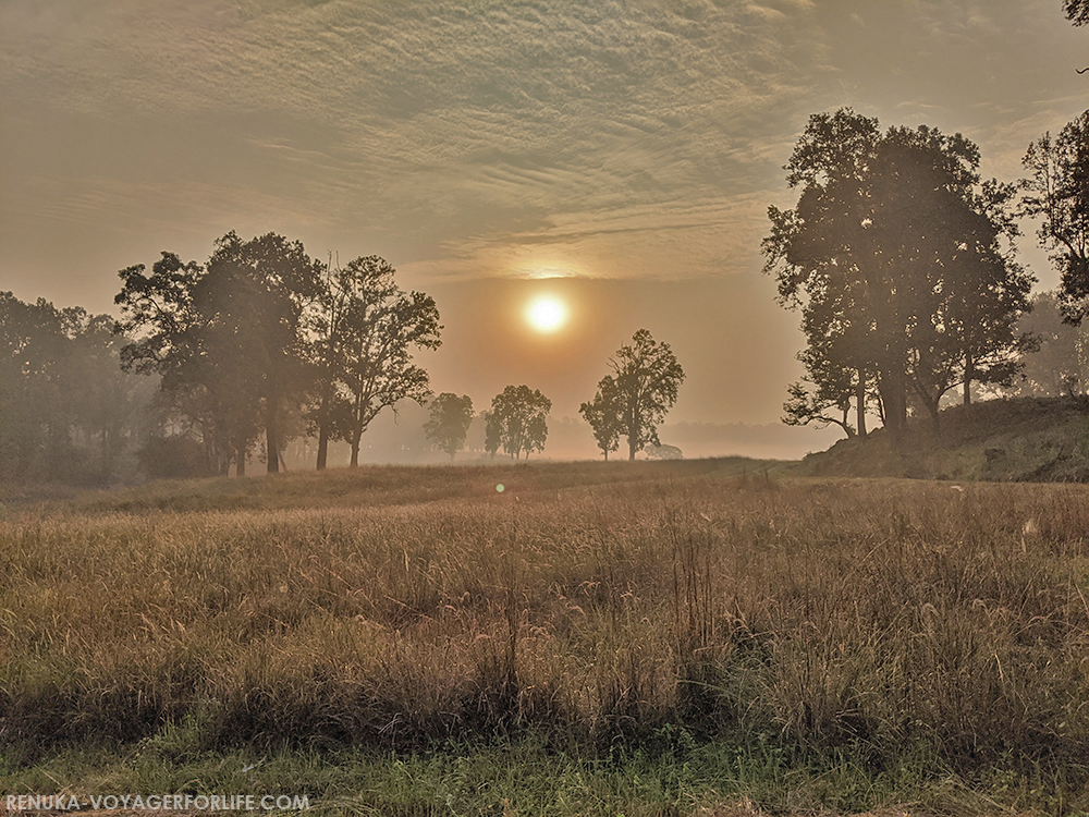 Landscapes of Kanha National Park