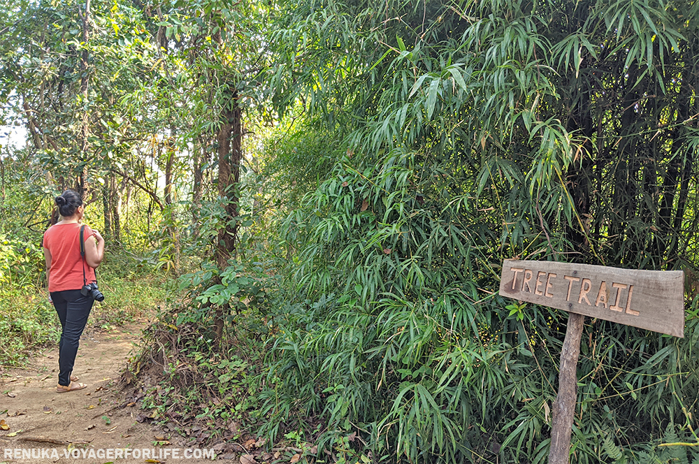 Nature trail at Kanha Earth Lodge