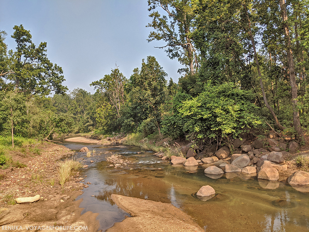 Water bodies in Kanha National Park