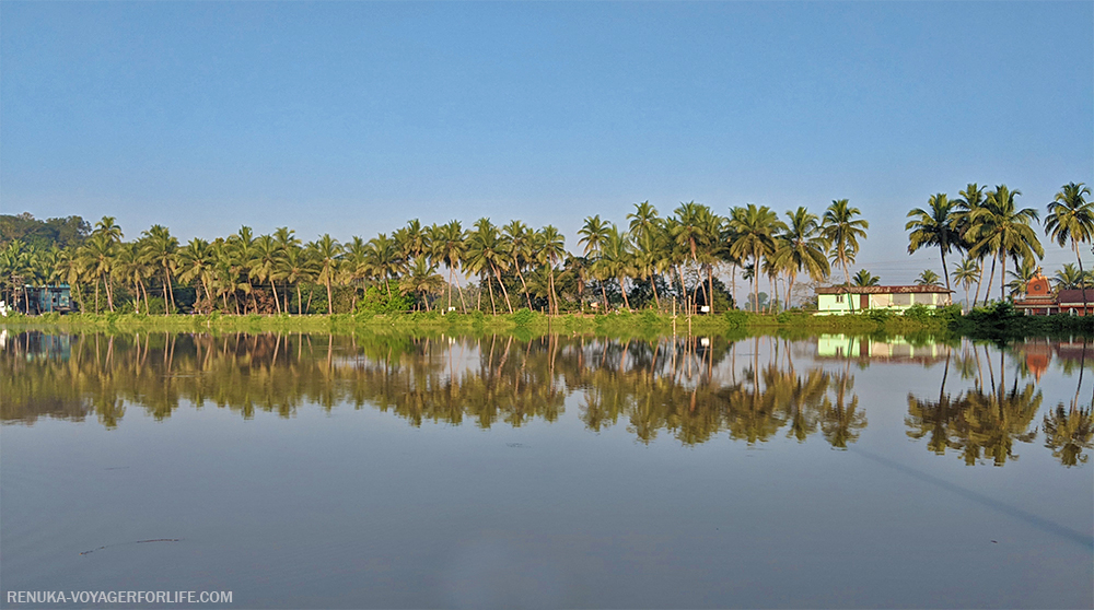 Curtorim Lake South Goa