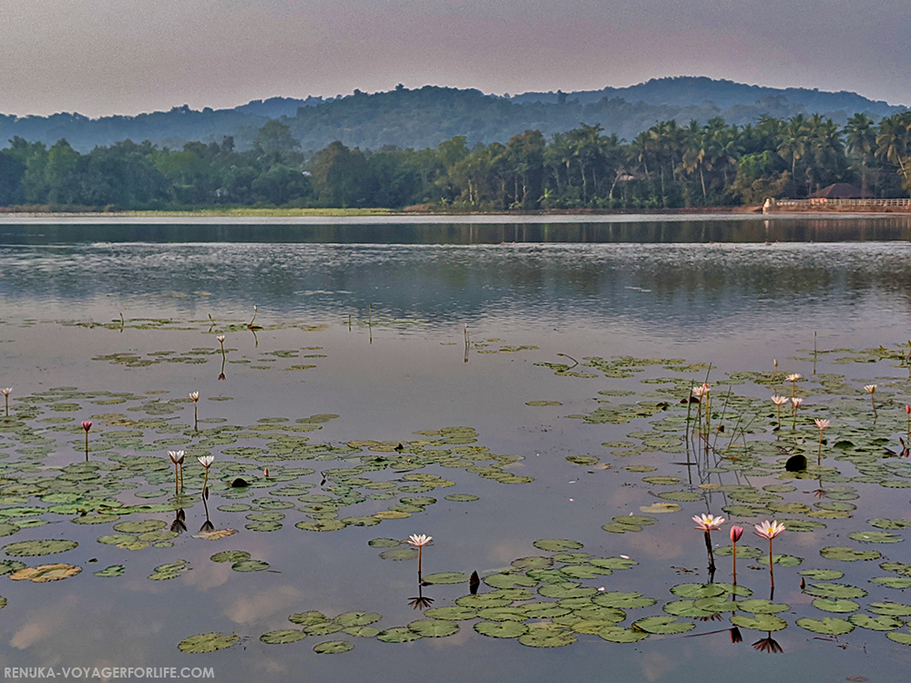 Curtorim South Goa