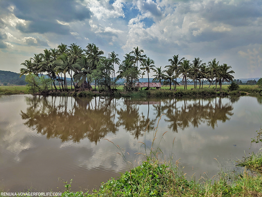 Zuari River viewpoint