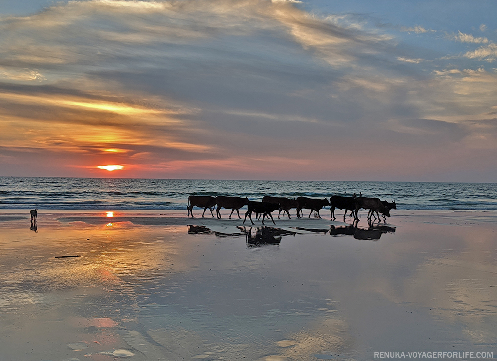 Quiet beaches of South Goa