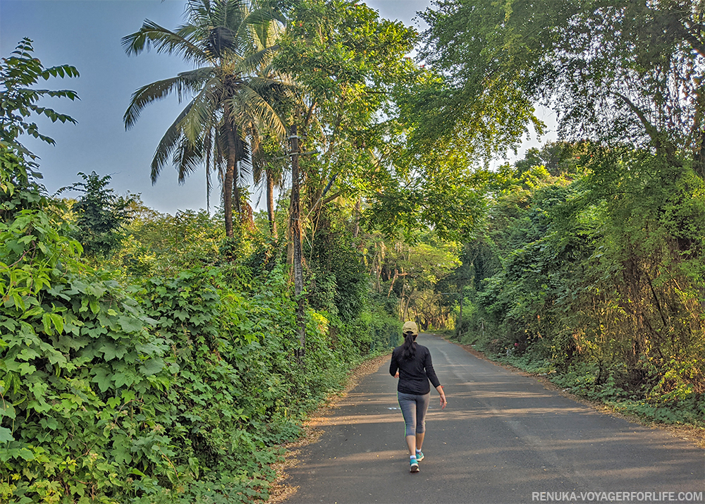 My ‘Slow Travel’ Guide To South Goa