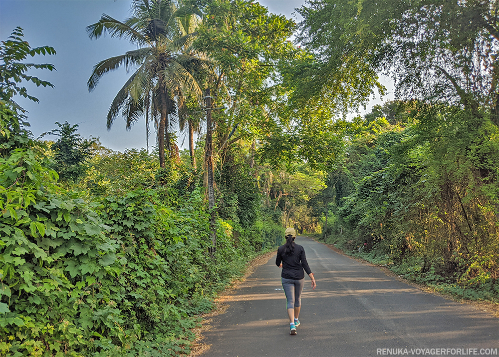 Herald: Goa ready… are tourists coming?