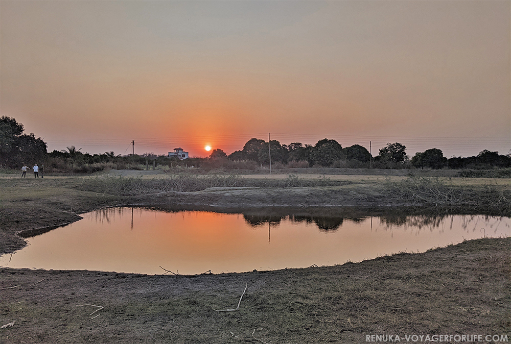 Lakeside farms in Maharashtra