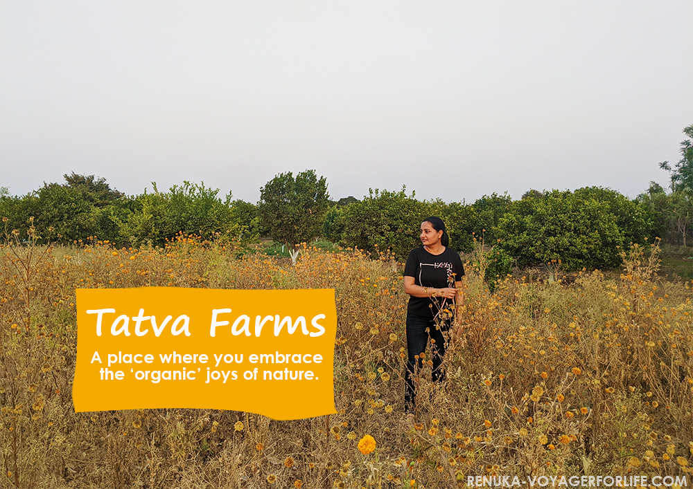 Organic farms in Maharashtra