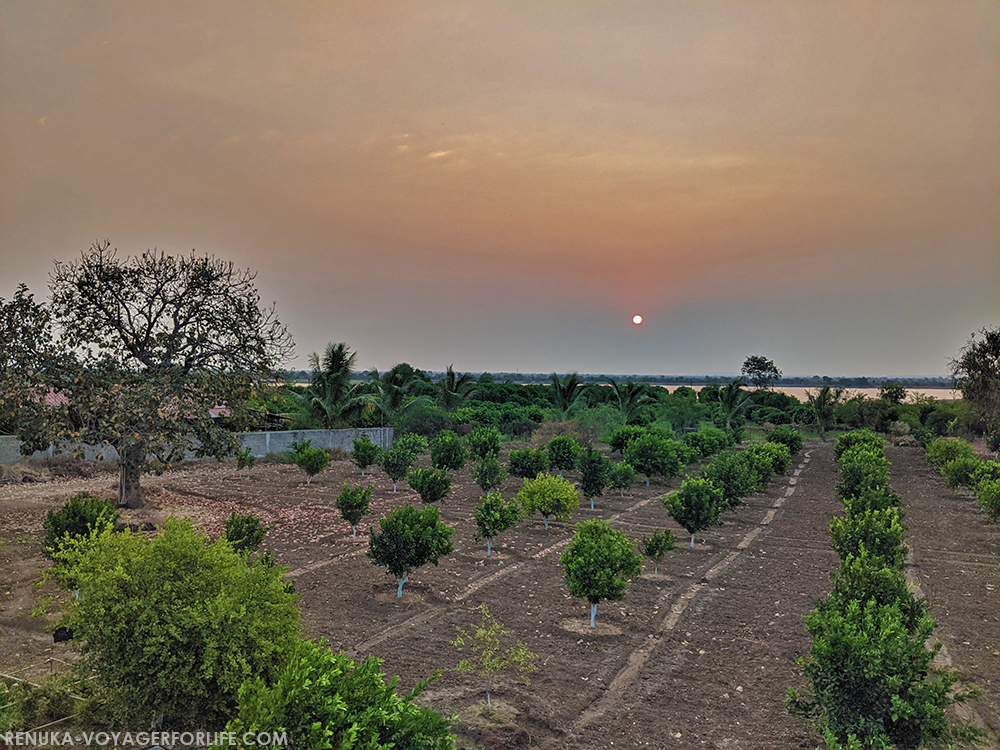 Resorts in India with their own organic farms